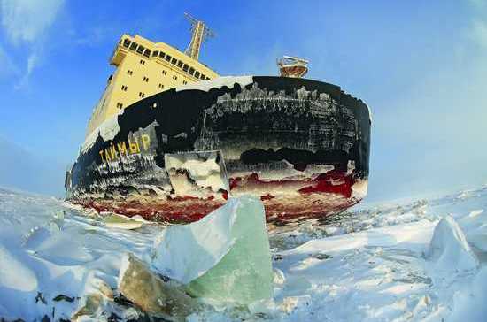 Arctic Forum VIII